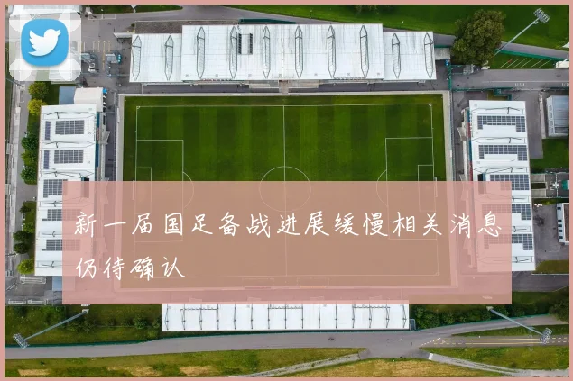 新一届国足备战进展缓慢相关消息仍待确认